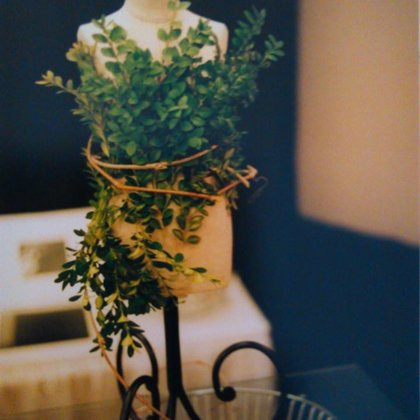 Recherche d'éléments décoratifs d'exception